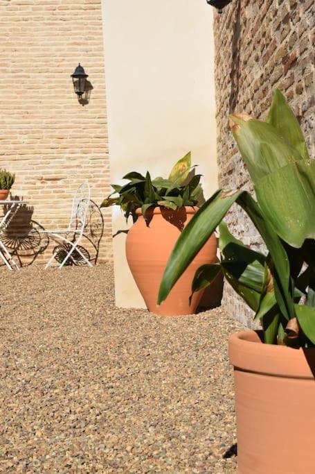 Casa De La Abuela Dolores Villaverde del Rio Экстерьер фото